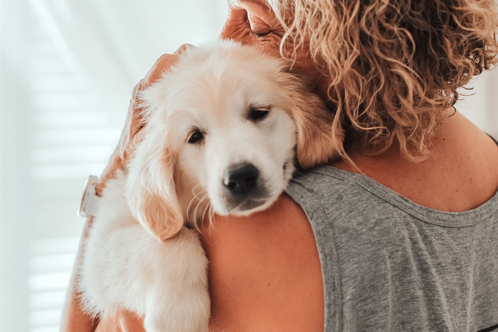 A woman embraces a golden retriever puppy, holding it close to her shoulder. - Puppy